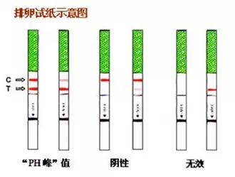 排卵試紙測(cè)避孕不可靠！