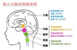 促進孩子大腦發(fā)育的八種營養(yǎng)素